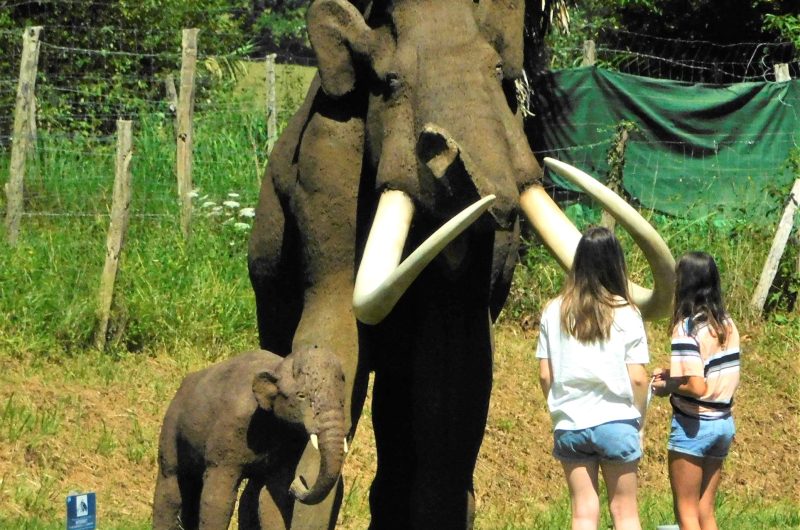 Mammouth ArchéoParc