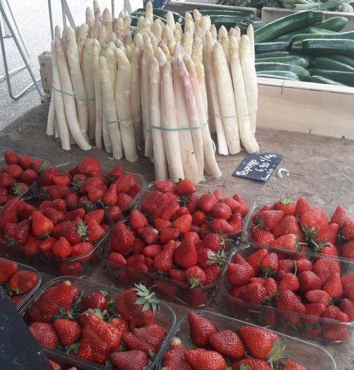 Marché 12-Vieux Boucau-Landes Atlantique Sud