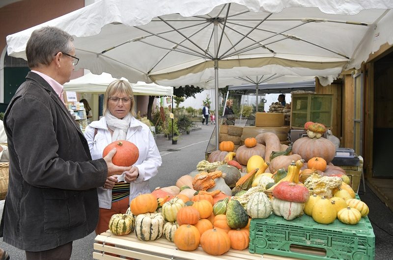 Marché Hagetmau TiS G Arroyo