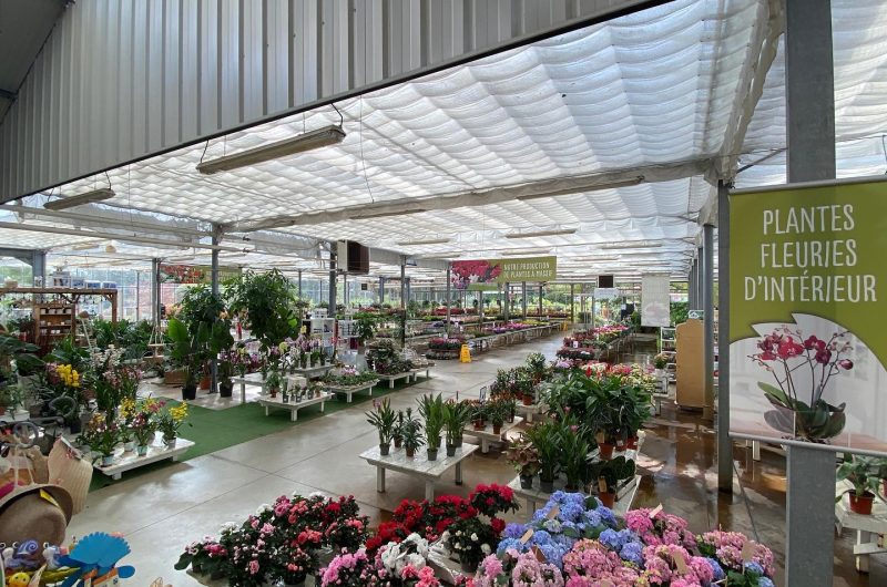 Marche-aux-fleurs-13