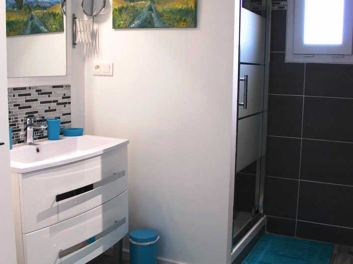 Micon Véronique (18)