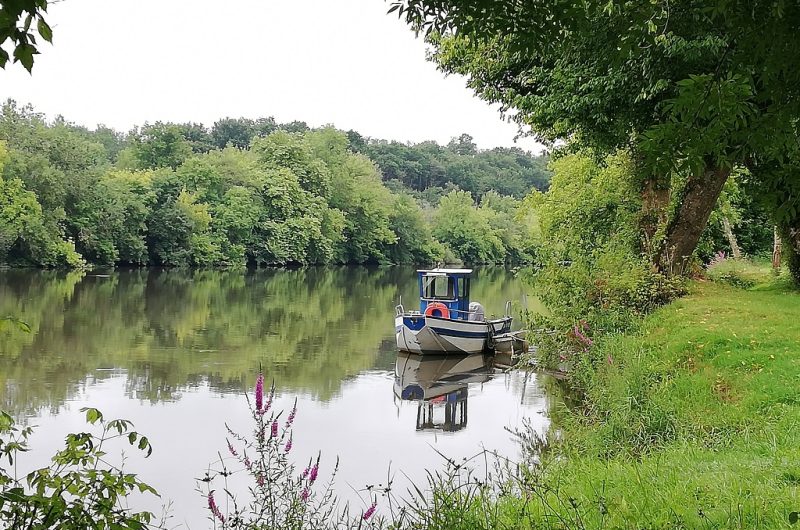 MicrosoftTeams-image (1)