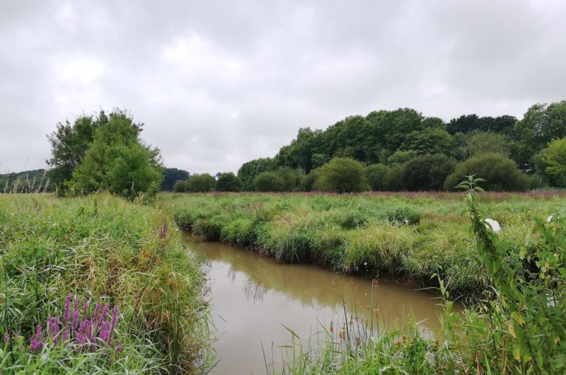 MicrosoftTeams-image