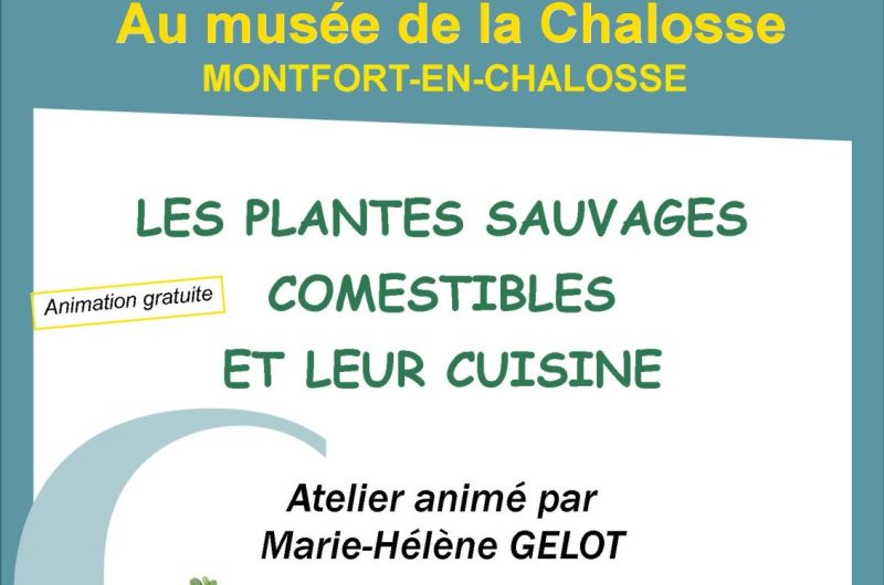 Musée plantes sauvages 9 SEPT
