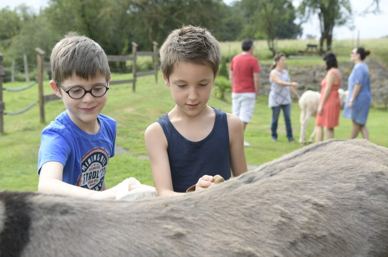 ND_CAS_Turs’Ane047(c)G Arrayo