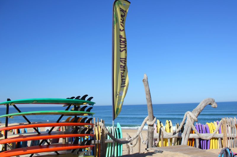 Natural Surf School 2016 ©Seignosse Tourisme