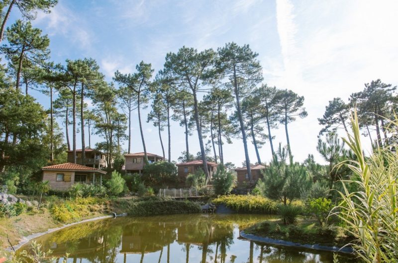 Natureo-HD-72–O1B4080