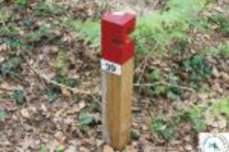 OTPT_CourseOrientation_Pontonx_1