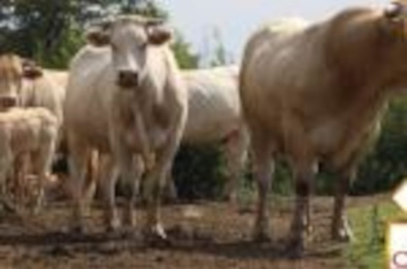 OTPT_LaBoucheriePontoise_Pontonx_02