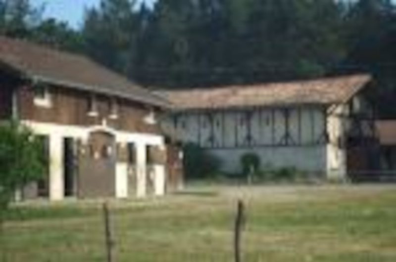 OTPT_OusPins_Tartas_2