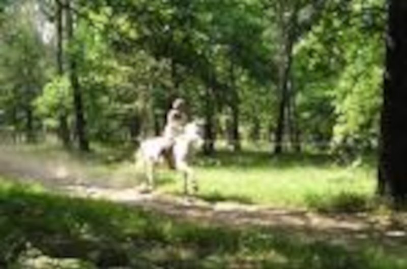 OTPT_OusPins_Tartas_4