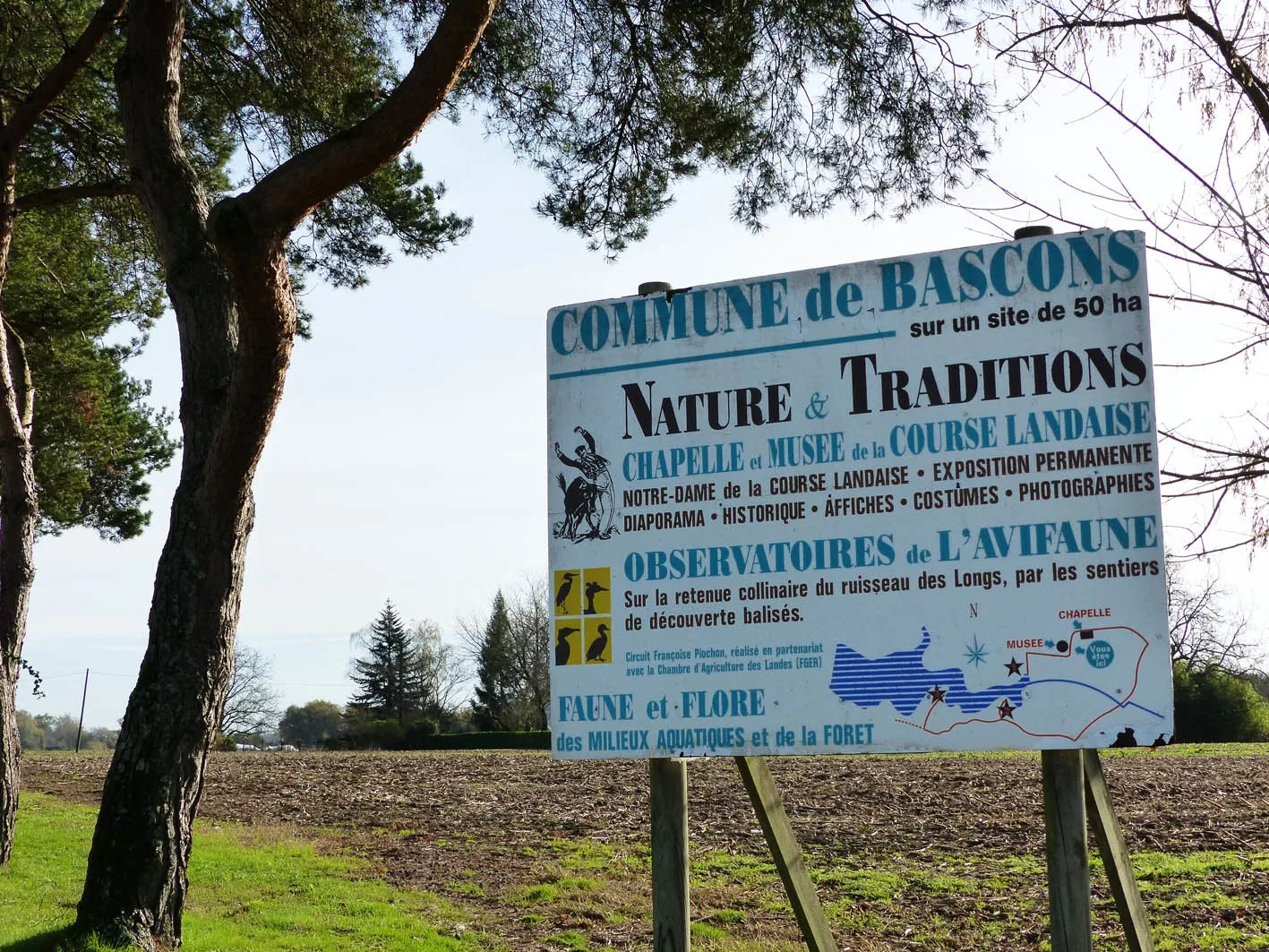 Observatoire Avifaune