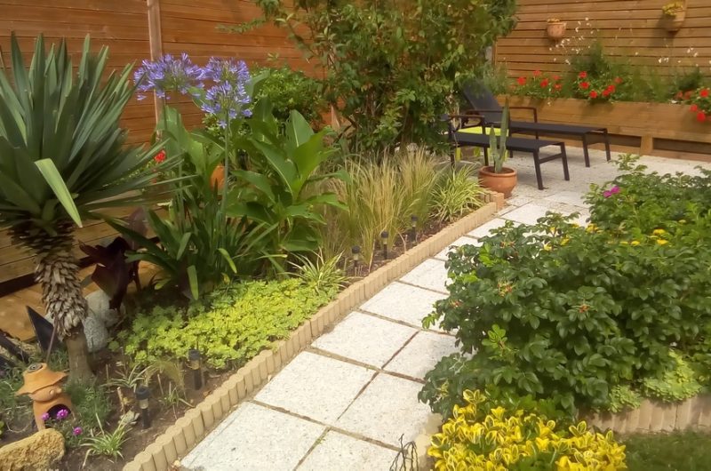 P-20190701-163830-op