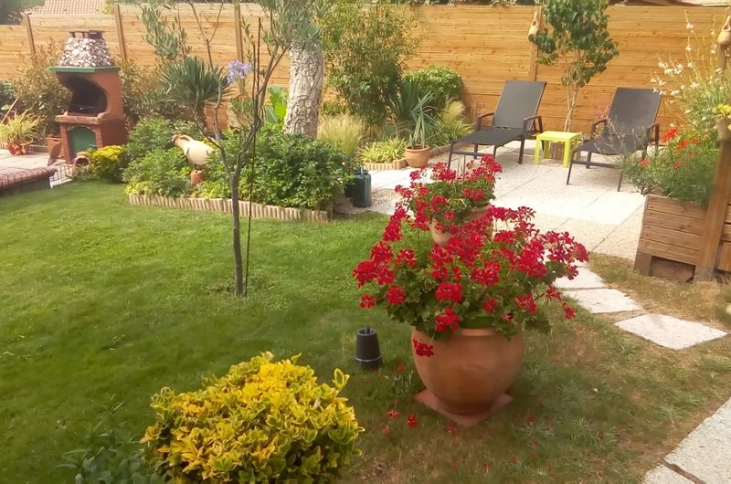 P-20190701-163904-op