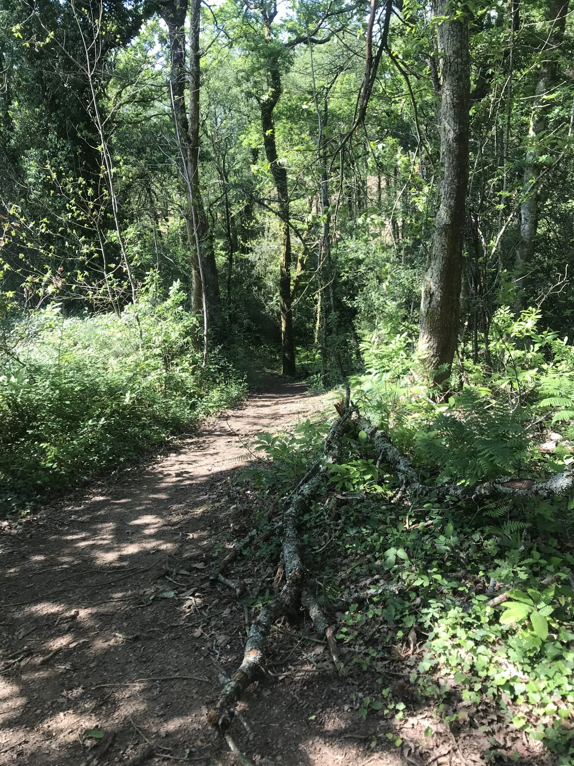 Parcours découverte à Misson