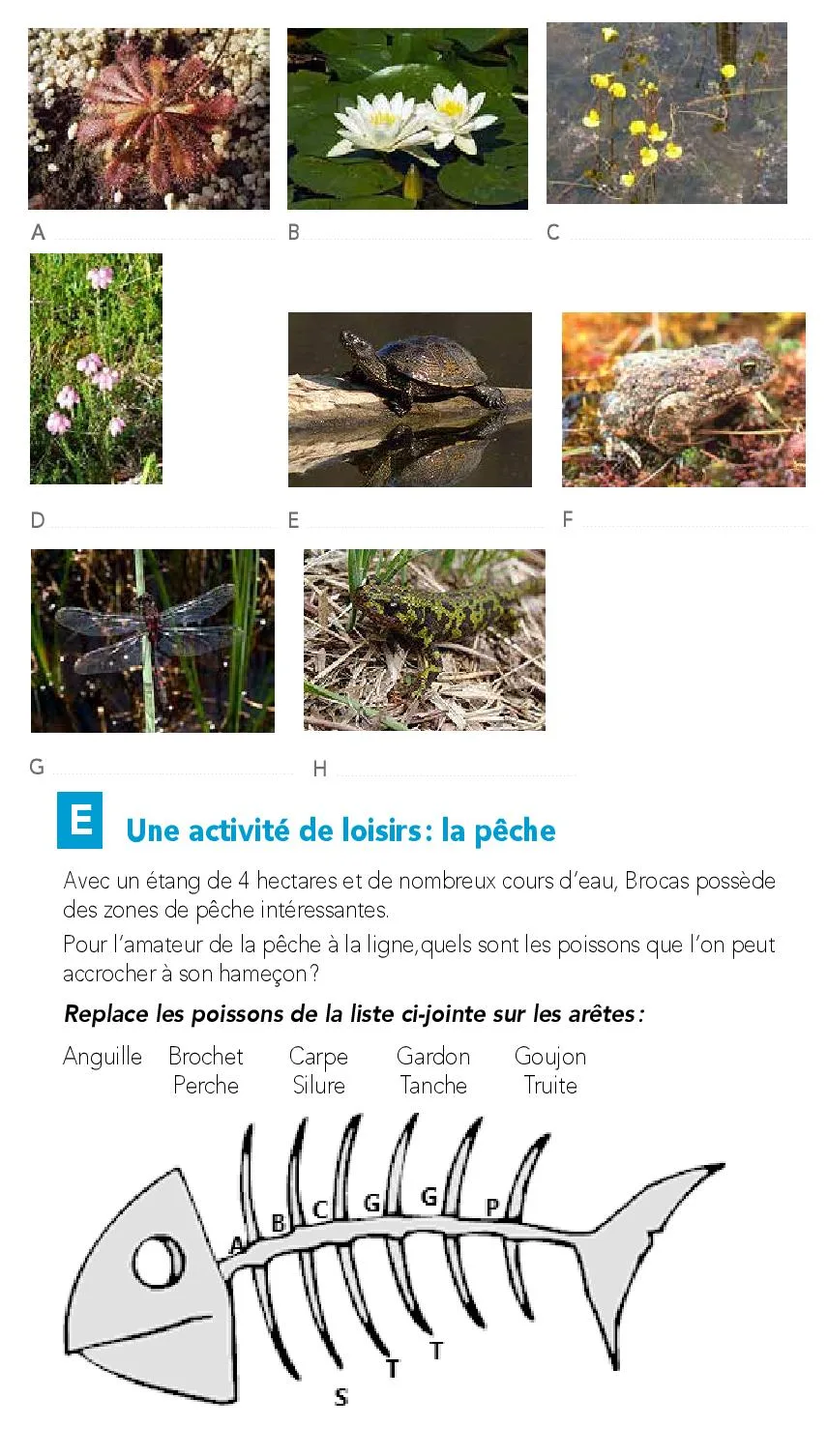 Parcours-Orientation-Brocas-2019-page-017