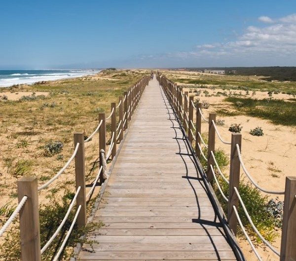 A Labenne, Chemin pédestre, “Un chemin, Une école”