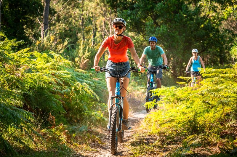 Photo 2 Balade forêt Landaise © Mathieu Prat