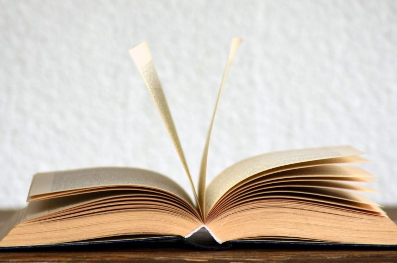 Pixabay-libre-de-droits–4–9