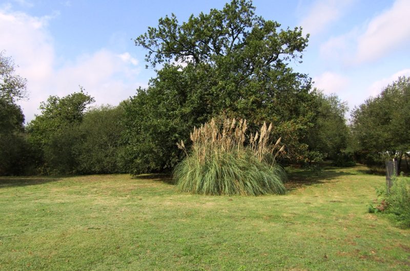 Rapin – parc arboré