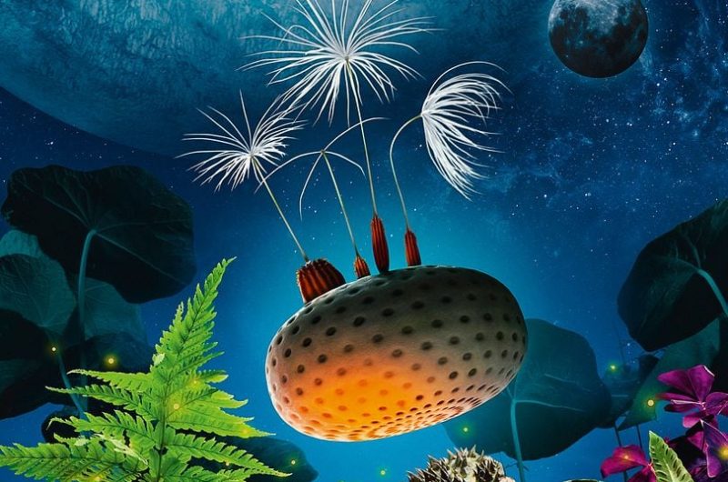 Roquefort – Cinéma Planètes – 15 Avril