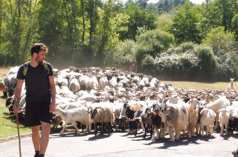 Route-de-la-Transhumance-etape-Lacquy-les-bergers