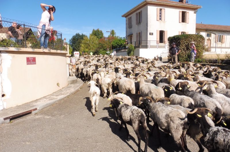 Route-de-la-transhumance-etape-Lacquy
