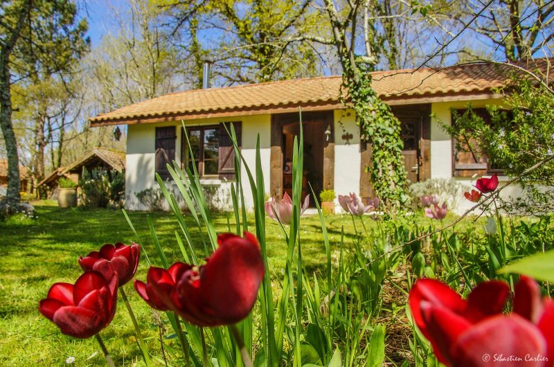 SEBASTIEN CARLIER -03253 copie