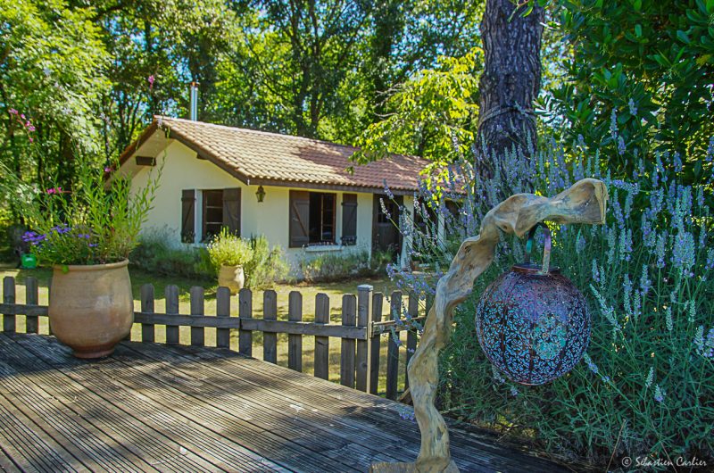 SEBASTIEN CARLIER -04574 copie