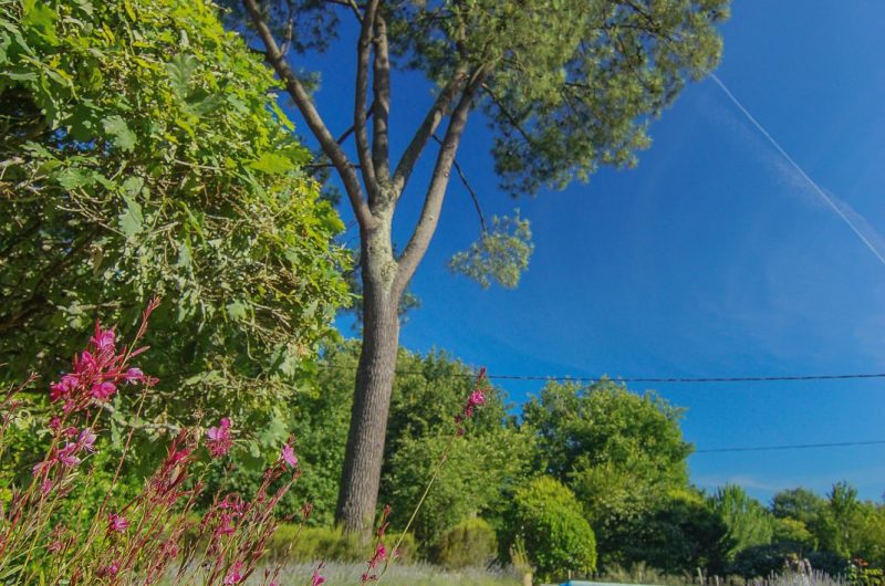 SEBASTIEN CARLIER -04633-2 copie