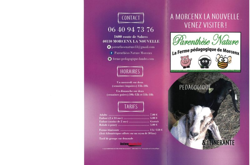 SKONICA MIN26062415073