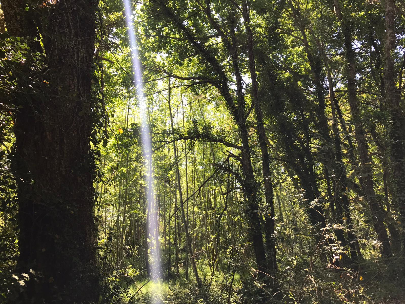 SOPHRO BALADE MOLIETS SEMINAIRE GROUPE (1)