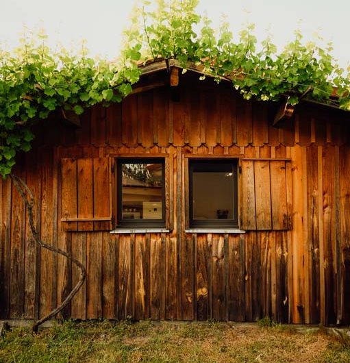 STJU-La Fournière de Jean (6)