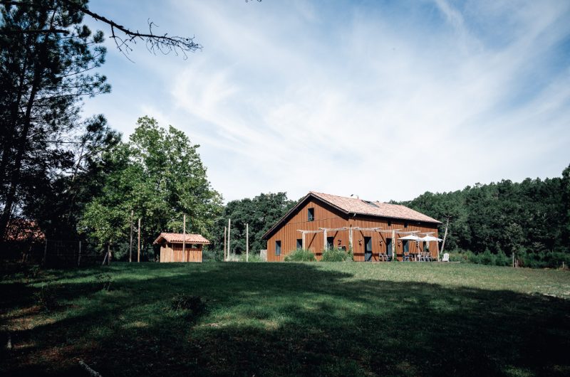 STJU_Maison-des-pins_ext1TS