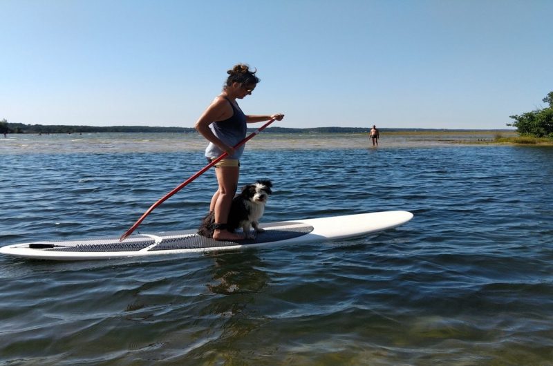 SUP’R Paddle 2