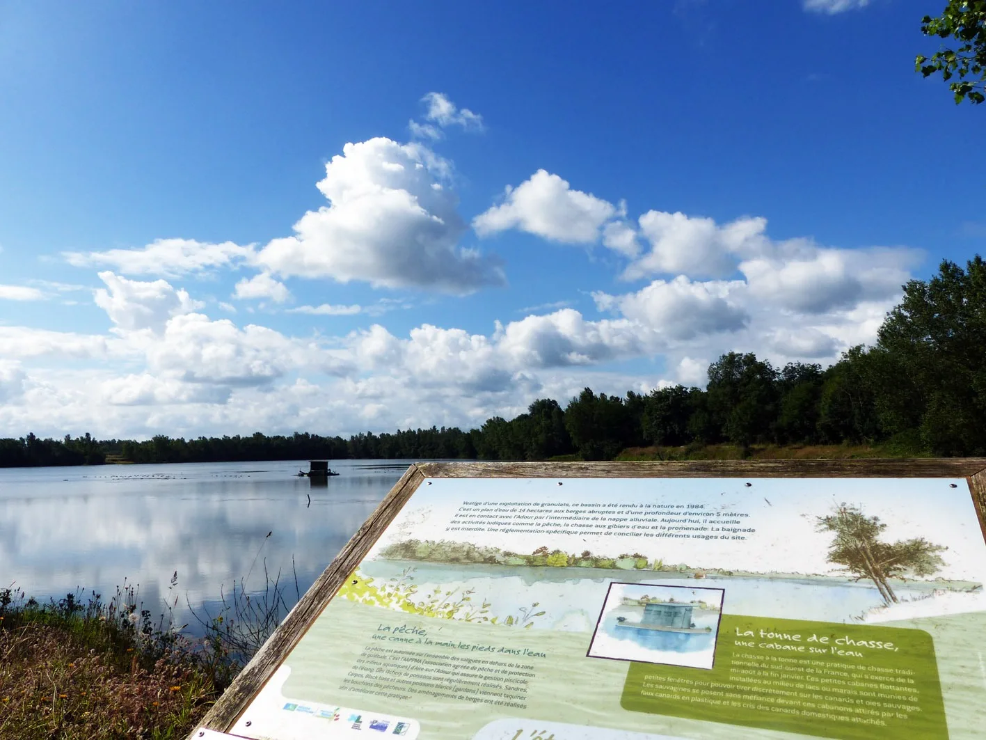 Saligues de l’Adour 1