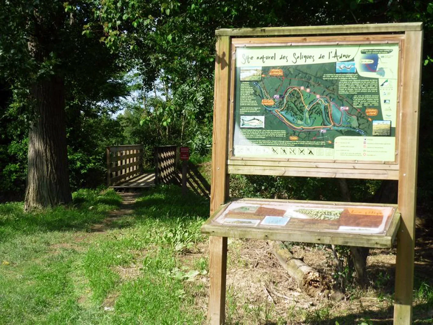 Saligues de l’Adour 4