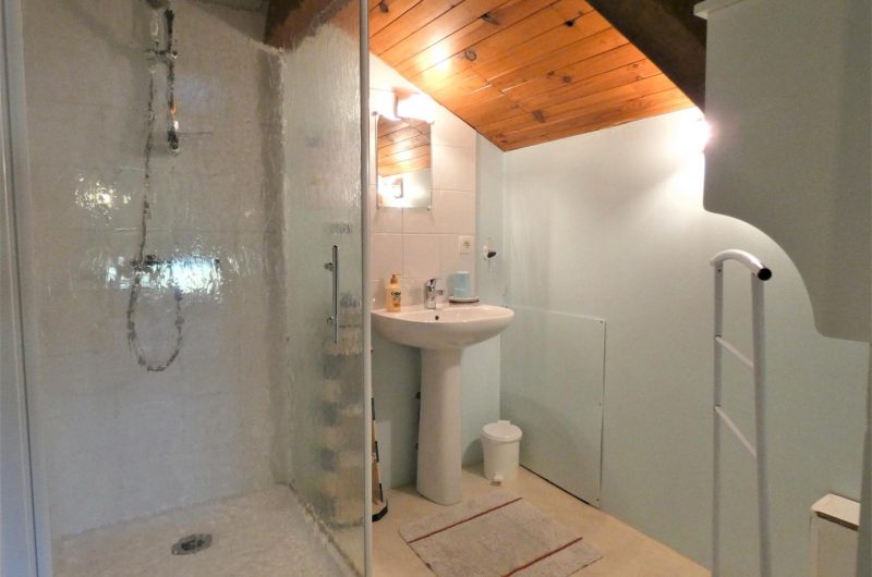 Salle d’eau et WC de la Chambre Les Bleuets Donc en plus de l’autre salle d’eau de l’ Appartement