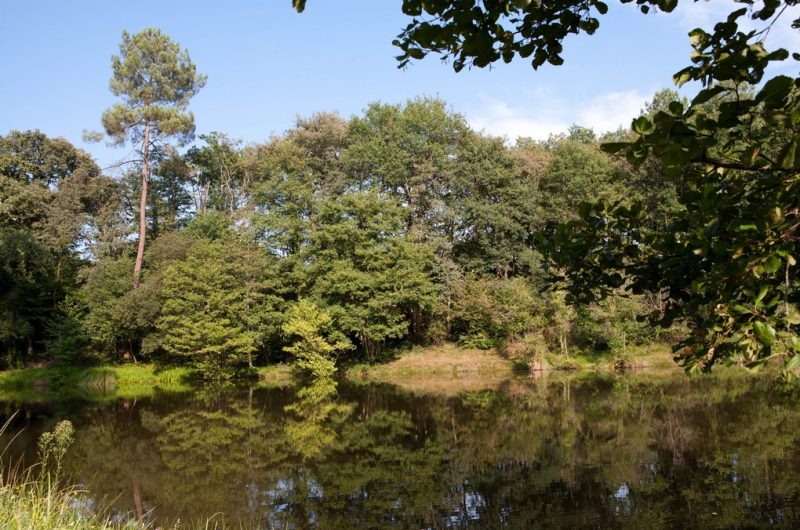 Sarbazan – Etang Mouneyre
