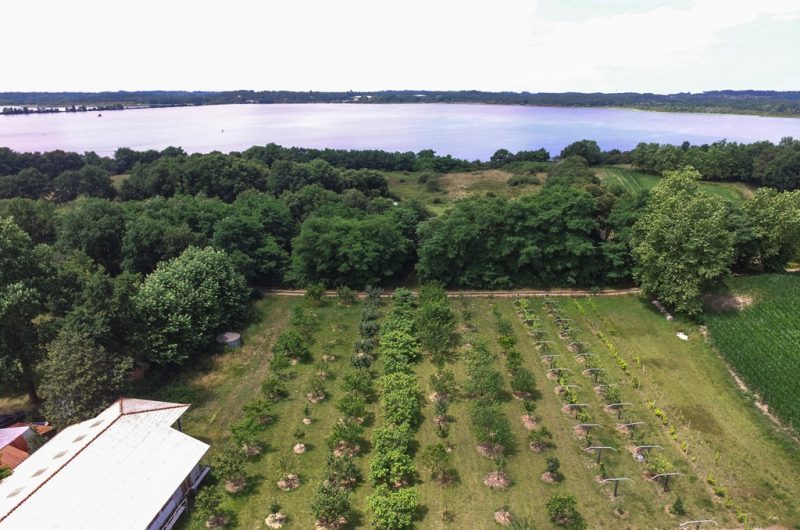 Seddiki_aerienne2_web