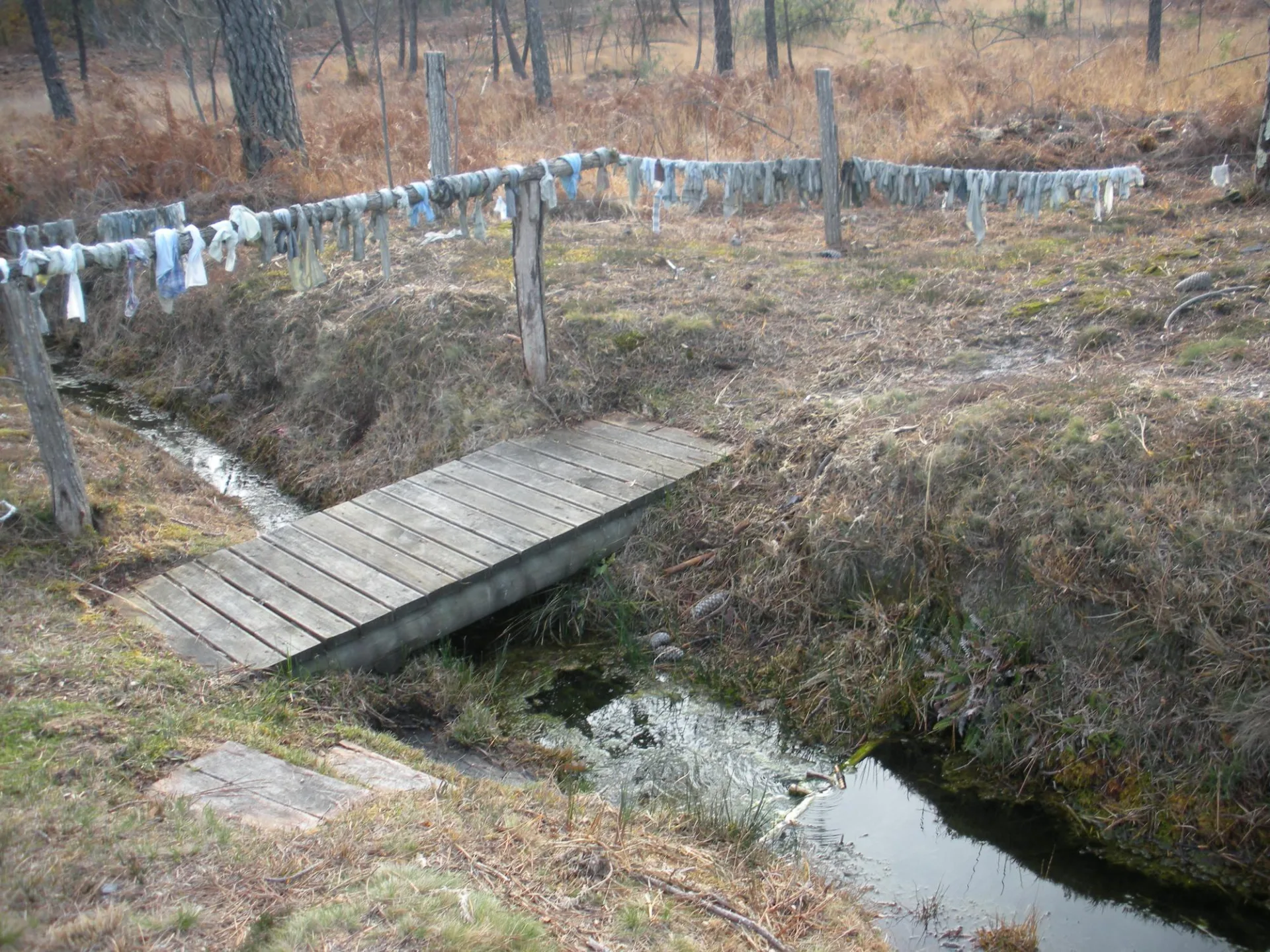 Circuit des sources en Pays Morcenais Ousse-Suzan Saint Girons