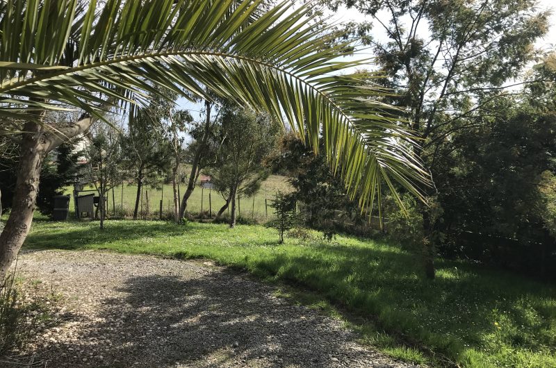 StudioCagnotte-Extérieur