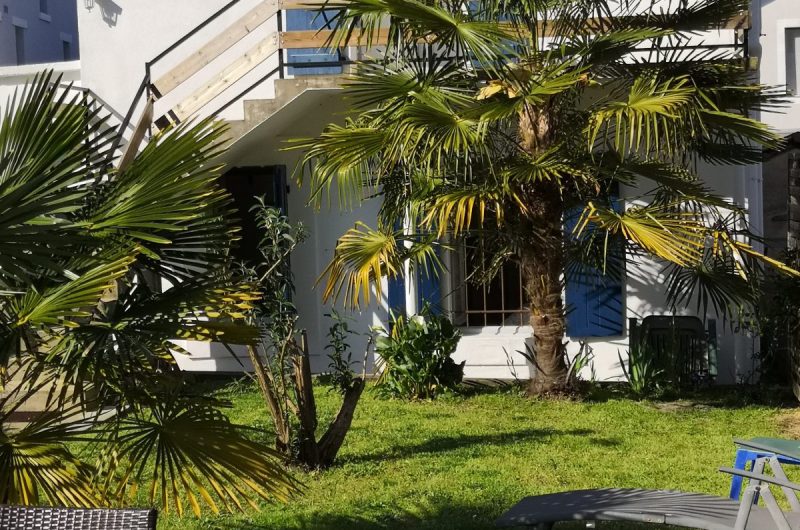 T2 vue depuis jardin (2)