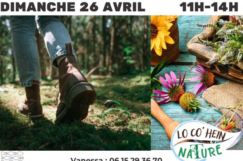 TALLER-Balade botanique