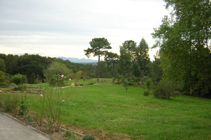 Les sentiers d’Arremont (5 km)