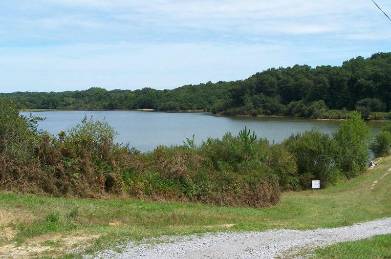 Entre bois et lac à Biarrotte