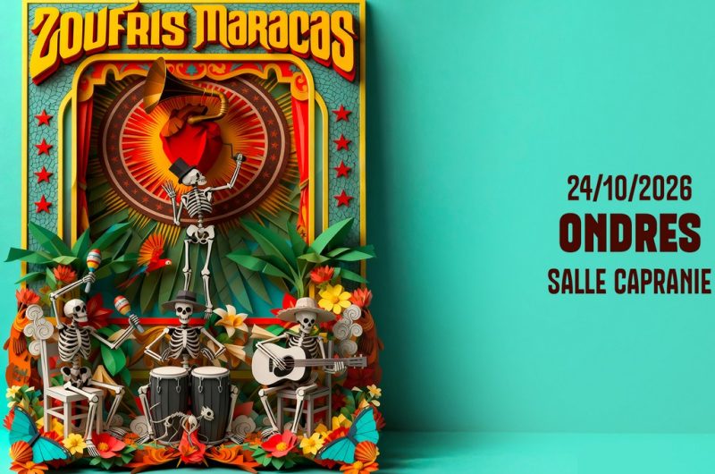 TS maracas