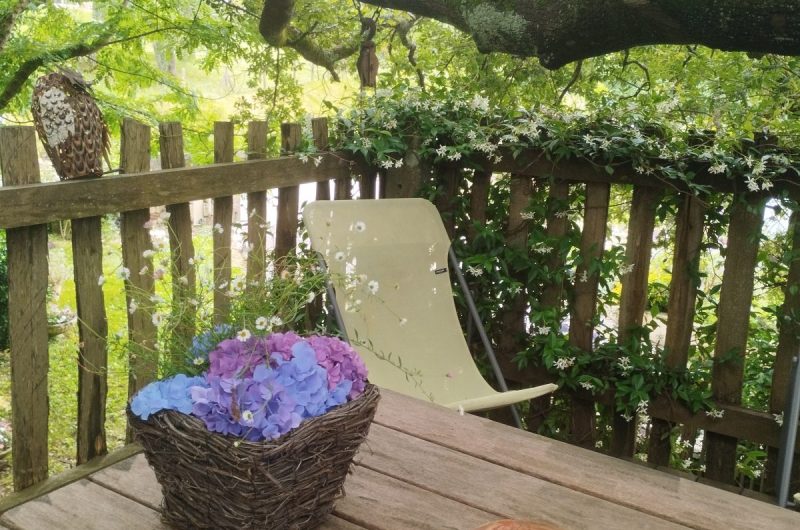 Terrasse papyjotte 2025 ©Hayet