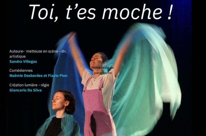 Animation TS ANNULÉ REPORTÉE – Toi t’es moche