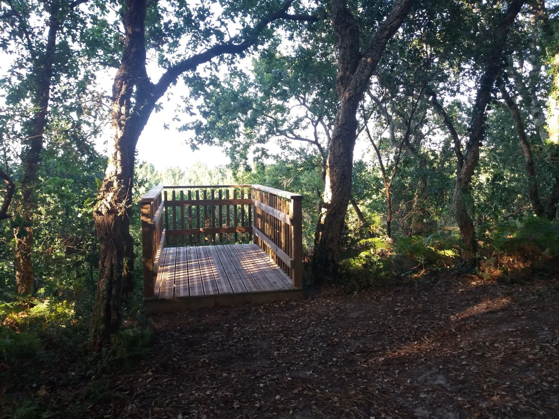 A Capbreton, parcours pédagogique du Tuc